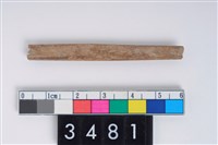 藏品(兩端尖器)的圖片