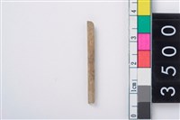 藏品(兩端尖器)的圖片