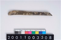 藏品(兩端尖器)的圖片