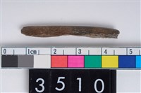 藏品(兩端尖器)的圖片