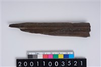 藏品(骨尖器)的圖片