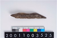 藏品(骨尖器)的圖片