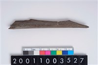 藏品(骨尖器)的圖片