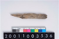 藏品(骨尖器)的圖片