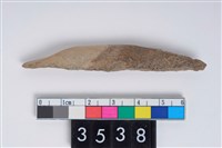 藏品(骨尖器)的圖片