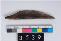 藏品(骨尖器)的圖片