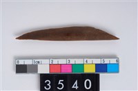 藏品(骨尖器)的圖片