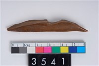 藏品(骨尖器)的圖片