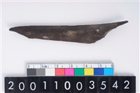 藏品(骨尖器)的圖片