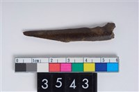 藏品(骨尖器)的圖片