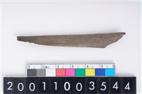 藏品(骨尖器)的圖片