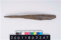 藏品(骨尖器)的圖片