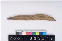 藏品(骨尖器)的圖片