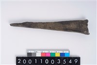 藏品(骨尖器)的圖片