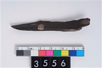 藏品(骨尖器)的圖片