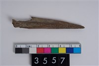 藏品(骨尖器)的圖片