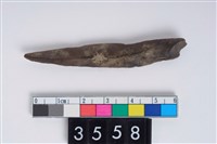 藏品(骨尖器)的圖片