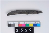 藏品(骨尖器)的圖片