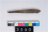 藏品(骨尖器)的圖片