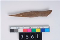 藏品(骨尖器)的圖片