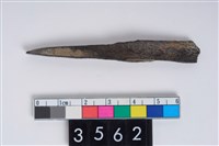 藏品(骨尖器)的圖片