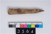 藏品(骨尖器)的圖片