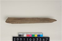 藏品(骨尖器)的圖片