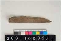 藏品(骨尖器)的圖片