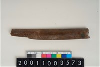 藏品(骨尖器)的圖片