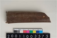 藏品(骨尖器)的圖片