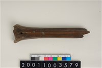 藏品(骨尖器)的圖片