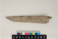 藏品(骨尖器)的圖片