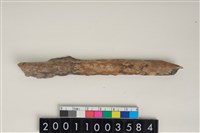 藏品(骨尖器)的圖片