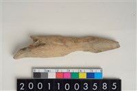 藏品(骨尖器)的圖片