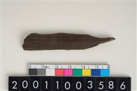 藏品(骨尖器)的圖片