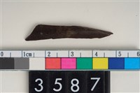 藏品(骨尖器)的圖片