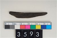 藏品(骨尖器)的圖片