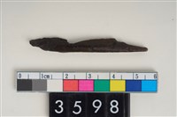 藏品(骨尖器)的圖片