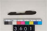 藏品(骨尖器)的圖片