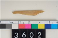 藏品(骨尖器)的圖片