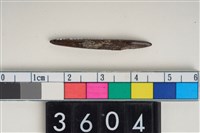 藏品(骨尖器)的圖片