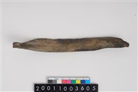 藏品(骨尖器)的圖片