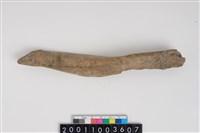 藏品(骨尖器)的圖片