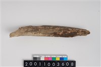 藏品(骨尖器)的圖片