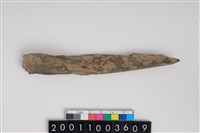 藏品(骨尖器)的圖片