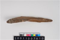 藏品(骨尖器)的圖片