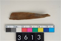 藏品(骨尖器)的圖片