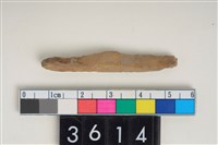 藏品(骨尖器)的圖片