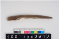 藏品(骨尖器)的圖片