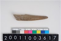 藏品(骨尖器)的圖片